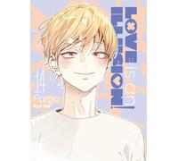 Love is an illusion! (Vol. 14)
