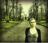 Love Lies by Kami Thompson NEUF