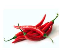 Love My Nature Graines de Piment BIO Cayenne - 24 Graines de Piment - Piment Rouge Fort - Semences BIO pour Jardin, Balcon & Pot