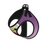 Love Of Avocado Harnais pour chien - Respirant, réfléchissant et réglable, convient pour les petits chats et chiens