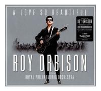 Sony – A Love So Beautiful