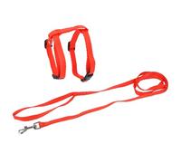 Love Story, Kit Harnais et Laisse pour Chat 20>30 x 1 cm / 120 x 1 cm Rouge