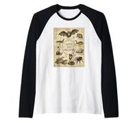 Love The Unloved Bugs Insect Entomology Entomologist Science Manche Raglan