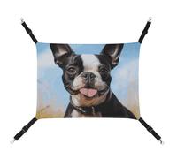 Lovely Boston Terrier Hamac en toile imprimée pour animaux de compagnie - Respirant et pliable pour chats, chiens et petits animaux de compagnie - Idéal pour la maison, les voyages et l'hôpital pour