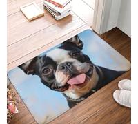 Lovely Boston Terrier Tapis de porte d'entrée d'intérieur et d'extérieur antidérapant absorbant lavable en flanelle Tapis de sol antidérapant pour cuisine, chambre à coucher, salle de bain, porche