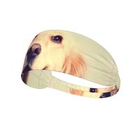 Lovely Golden Retriever Dog Print Bandeau Elastique Exercice Bandeau - Fashion Sports Head Wrap pour Yoga, Course, Cyclisme, Gym, Tennis