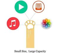 Lovely Pendrive 32GB USB Flash Drive 32GB Cartoon Flash Drive USB 2.0 Waterproof Memory Stick Pen Drive for Computer,PC,Tablet Data Storage (Gold)