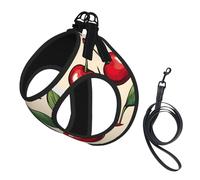 Lovely Sweet Cherry Harnais pour chien en maille respirante avec 2 imprimés Rouge Taille S-L
