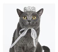 Lovelyshop Pet Series Royal Mini couronne ronde pour chien ou chat avec strass