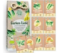 Loveplants Coffret Bio "Amour de Concombre" - 1 kit