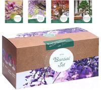 Loveplants Kit de Culture - Bonsaï - 1 kit