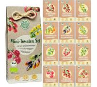 Loveplants Kit de Graines de Mini-Tomates bio - 1 kit