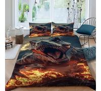 LOVEROGD Dinosaure Volcan Housse De Couette 3 Pièces Wildlife Animal Theme Imprimé De Couvre-Lit Microfibre pour Adulte Et Enfant avec 2 Taie d'oreiller King(220x240cm)