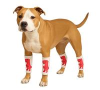 LovinPet Lot de 4 genouillères pour chien, style dinosaure, pour chiens de taille moyenne et grande, extensibles dans les 4 sens, couverture anti-léchage, coupe chaude et confortable, taille unique