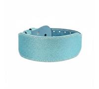 LOVIVER Ceinture de Musculation Ceinture d'Haltérophilie Ceinture de Levage Ceinture de Soutien Lombaire en Pu avec Rembourrage Large pour Stabiliser et, S 100CM, Style One