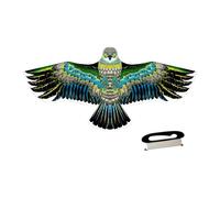 LOVIVER de Sport en Forme d'aigle, Coloré, Beau, Amusant, Grand, avec Ficelle de 100 M Incluse, pour Parc, Plage, 160cmx72cm