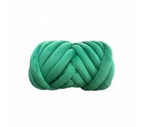 LOVIVER Diy Fil Chenille Tube Tricot Polyester Velours Texture Brillante Facile à Assembler Convient pour Débutant Décoration Maison Création Manuelle Coussin Lit Animal Tapis Sol, Green, 100G
