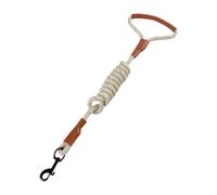 LOVIVER Laisse de 1,5 M pour Chien, Corde de Traction, Usage Extérieur, Poignée Ergonomique, Beige