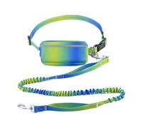 LOVIVER Laisse Mains Libres avec Pochette zippée Laisse pour Chien de Course Laisse de Taille en Tissu Oxford Laisse rétractable pour Chien avec Pochette, Vert