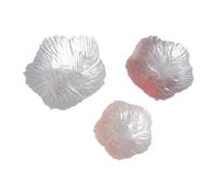 LOVIVER Lot de 3 Assiettes En Verre En Forme de Fleur, Porte-collations, Porte-bijoux, Assiette à Dessert pour Bureau, Gâteau, Fruits, Cuisine, Comptoir, Mais