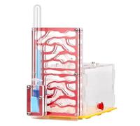 LOVIVER Nid d'habitat pour s en Acrylique Transparent avec mangeoire, boîte de présentation pour s, pour Les Amoureux, décoration, Rouge
