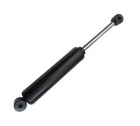 LOVIVER Stabilisateur d'amortisseur de Direction Gym Fitness Support de stabilisateur d'amortisseur de Direction pour Stepper