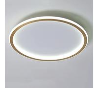 LOVTAL Rond LED Plafonnier, Nordique Moderne Ultra-mince Cercle Lampe De Plafond Montage En Surface Métal Luminaire Lumière Pour Salon, Lampe De Chambre,Gold+Cool White-30cm 36W