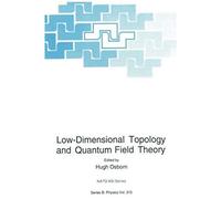 Low-Dimensional Topology And Quantum Field Theory