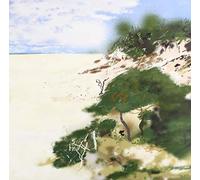 Low Flung - Outside the Circle