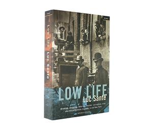 Low Life: Drinking, Drugging, Whoring, Murder, Corruption, Vice and Miscellaneous Mayhem in Old New York