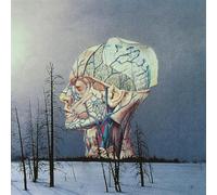 Songs For A Dead Pilot