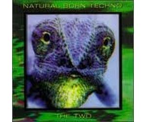 Low Tech Heroes - Natural Born Techno-the Two