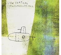 Low Vertical - I Saw a Landscape Once