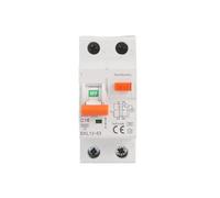 Low Voltage RCBO 30mA 1p+n RCBO Residual Current Circuit Breaker CZAOINCU(40A)