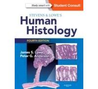 Lowe, J: Stevens & Lowe's Human Histology