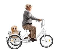 LOYEMAADE Tricycle adulte de 20" réglable à 3 roues pliable pour personnes âgées avec panier à provisions, tricycle adulte en acier au carbone pour le shopping, les pique-niques
