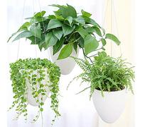 LOYUYU Pack De 3 Pots Suspendus Auto-Arrosage, Pot De Fleurs Succulentes Air Flowerpot Stand, Coquille D'oeuf Unique Suspendu Pot, Maison Jardin Bureau Décoration Intérieure Mat Blanc