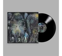 LP de Dinosaur Jr. - There near - pour Indifférent - Standard Standard