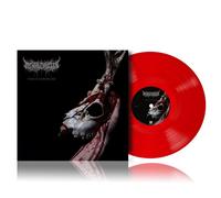 LP de Mental Cruelty - Echoes of a forlorn Land - pour Indifférent - Standard Standard