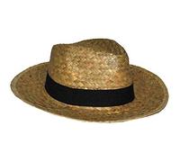 LP Divertissements Lot de 12 - Chapeau Style Panama en Paille avec Bandeau Nature