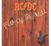 Fly on the wall