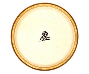 LP "LP A640A 10"" Aspire Conga Head"