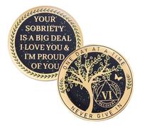 LParkin Pièce de sobriété de 6 ans, pièce de monnaie arbre de vie, pièce de monnaie AA de 6 ans, cadeau de sobriété pour homme et femme, jeton d'anniversaire de sobre, médaillon alcooliques anonymes