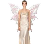 Lpdshaa Ailes D'Elfe Papillon Costume D'Ailes Fée Transparentes Tenue De Rose Taille unique