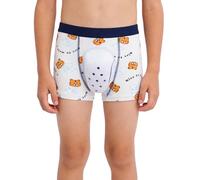 Lpdshaa Slip Circoncision pour Enfants Culottes Adaptées Aux Besoins Particuliers des Garçons Vêtements Adaptés pour Garçons Slip Médical Tigre 7-8 Ans