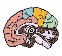 Lpitoy Broche en Émail pour Cerveau, Épingle À Revers Médicale D'anatomie, Badge D'organes Humains, Broche Décorative pour Vêtements, Bijoux Médicaux pour Médecin