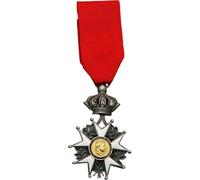 Lpitoy Broche Insigne De Médaille Militaire, Style Rétro, Emblème De L'empereur Napoléon De Légion d'honneur, Bijou Fantaisie Unique.