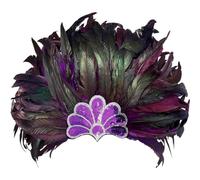 Lpitoy Couronne De Coiffure en Plumes Indiennes, Couvre-Chef De Carnaval, Costume d'halloween, Accessoires pour