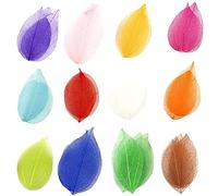 Lpitoy Feuilles De Squelette Naturelles, 36 Pièces, Feuilles Sèches, Artisanat De Scrapbooking, Carte De Bricolage, Matériel De Mariage, Mélange De Couleurs