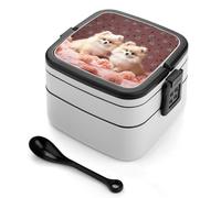 LPSADGF Boîte à déjeuner pour femmes, chiots de Poméranie, boîte à bento avec couvercle anti-fuite et boîte à goûter